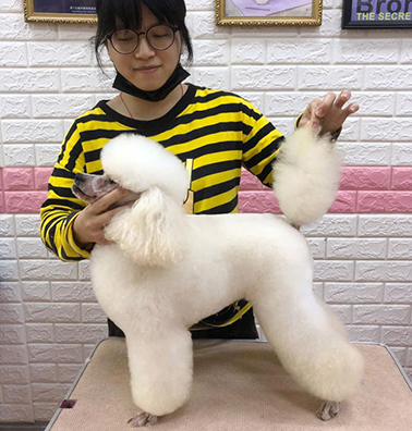 黄嘉宝宠物美容师