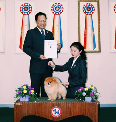 徐明瑶宠物美容师