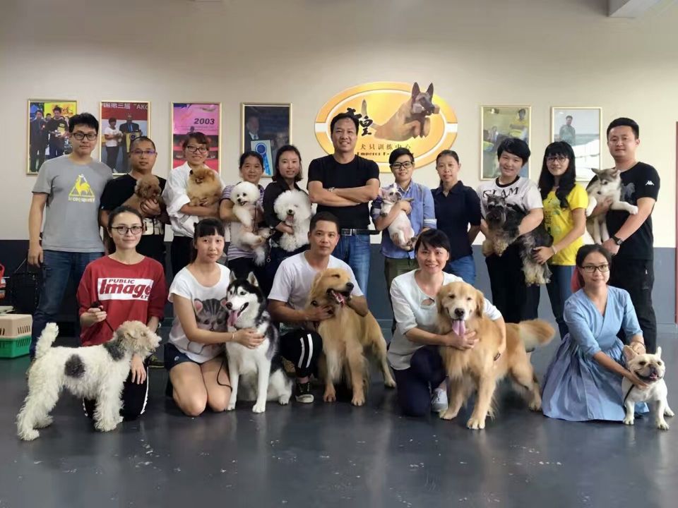 广州训犬师培训多少钱