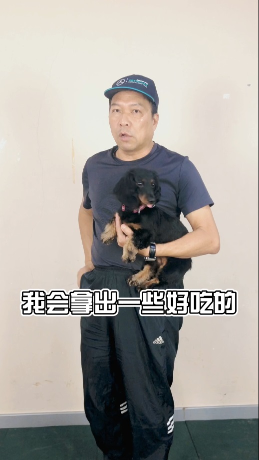 怎么训腊肠犬