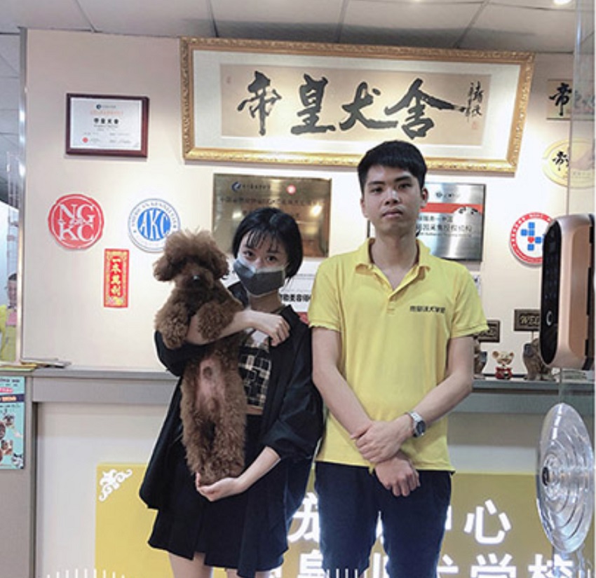 贵宾咬人怎么训练