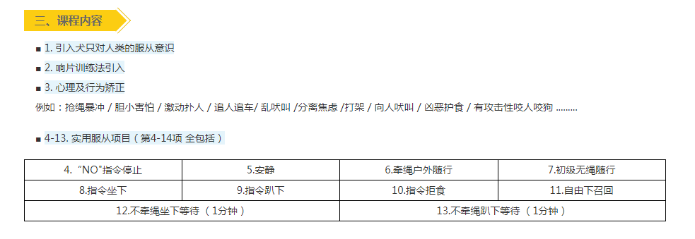 边牧激动喜欢扑人