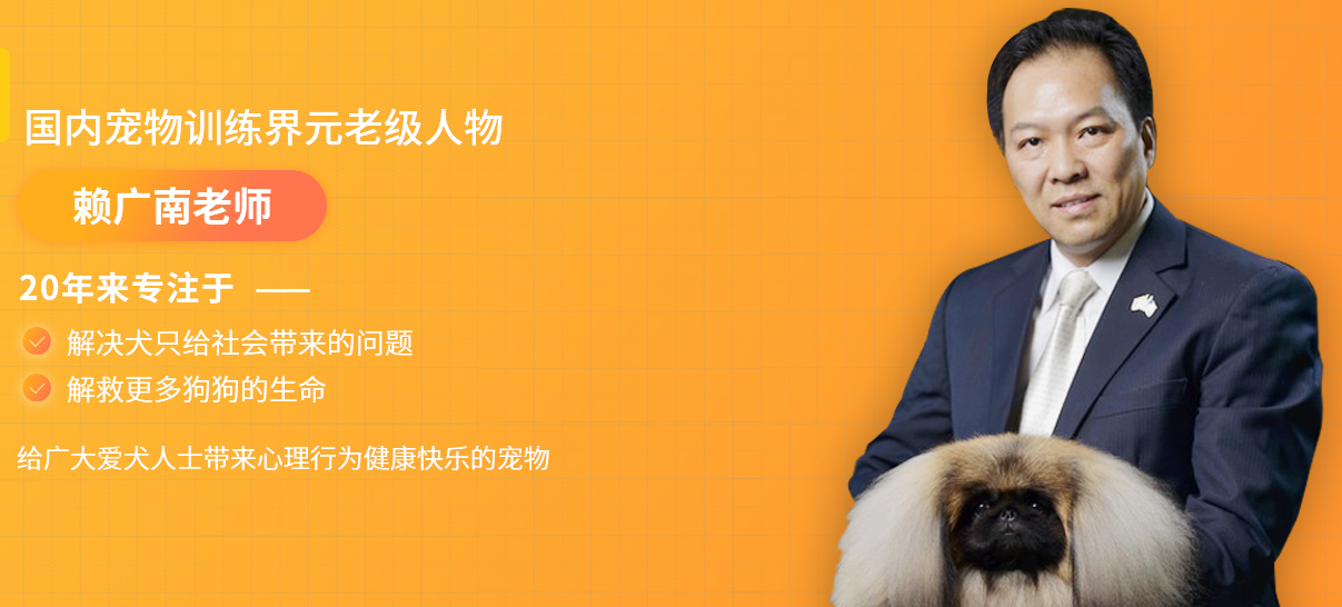 二十多年国内训犬经验的赖广南先生