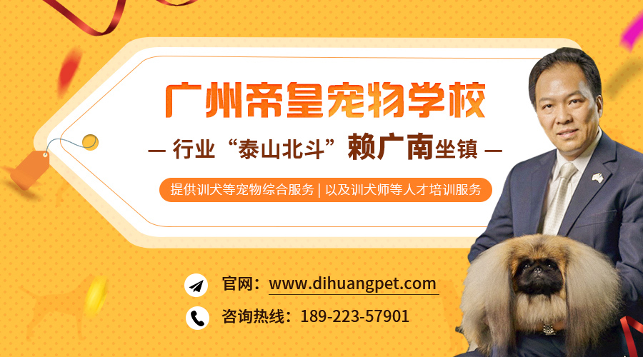 广州帝皇宠物学校联系方式 广州帝皇宠物学校联系方式