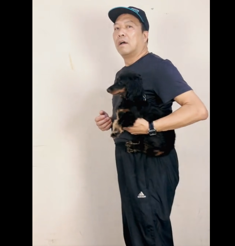 训犬B套餐，主要内容是狗狗的行为纠正和服从训练